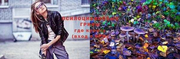 2c-b Баксан