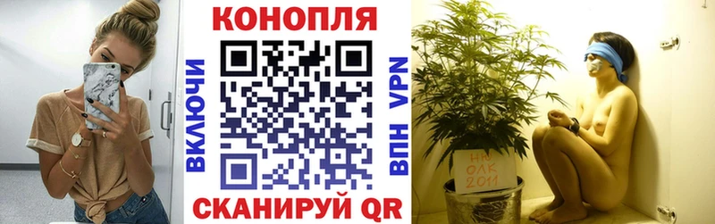 Купить закладки  Апшеронск  Канабис тримм 